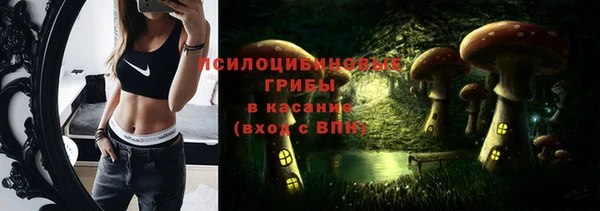 стафф Балахна